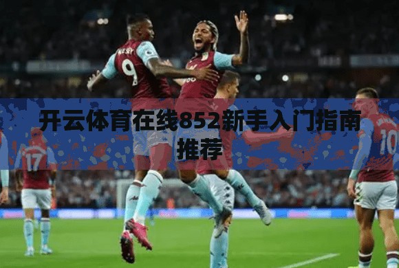 开云体育在线852新手入门指南推荐