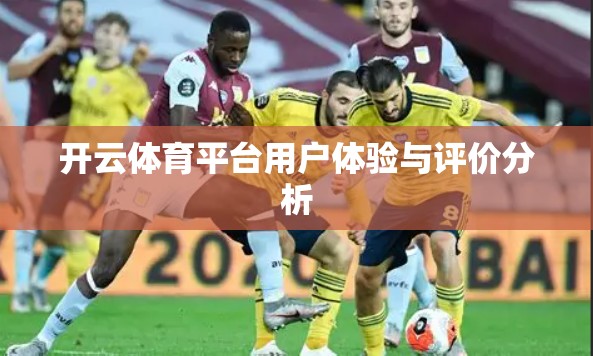开云体育平台用户体验与评价分析
