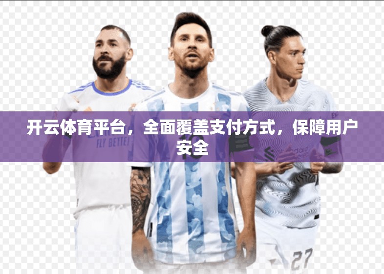 开云体育平台，全面覆盖支付方式，保障用户安全