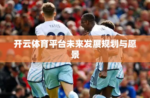 开云体育平台未来发展规划与愿景