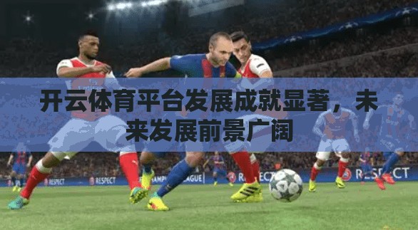 开云体育平台发展成就显著，未来发展前景广阔