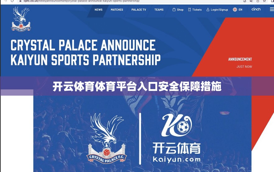 开云体育体育平台入口安全保障措施