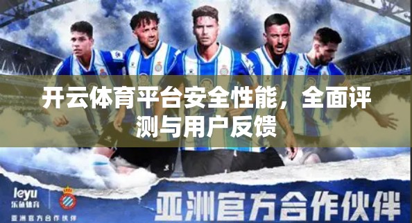 开云体育平台安全性能，全面评测与用户反馈