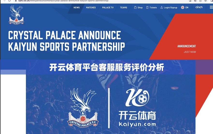 开云体育平台客服服务评价分析