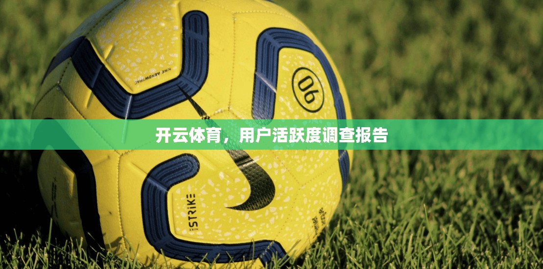 开云体育，用户活跃度调查报告