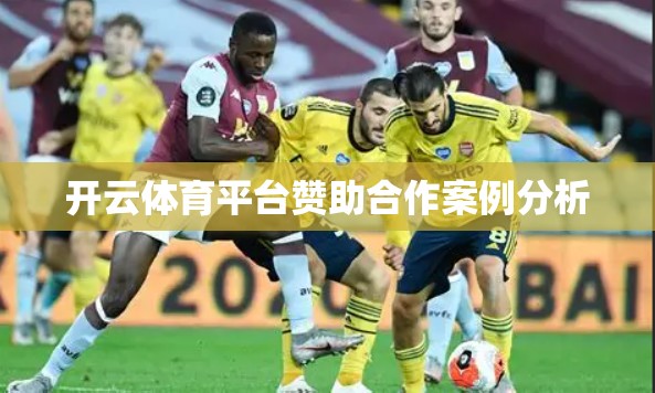 开云体育平台赞助合作案例分析
