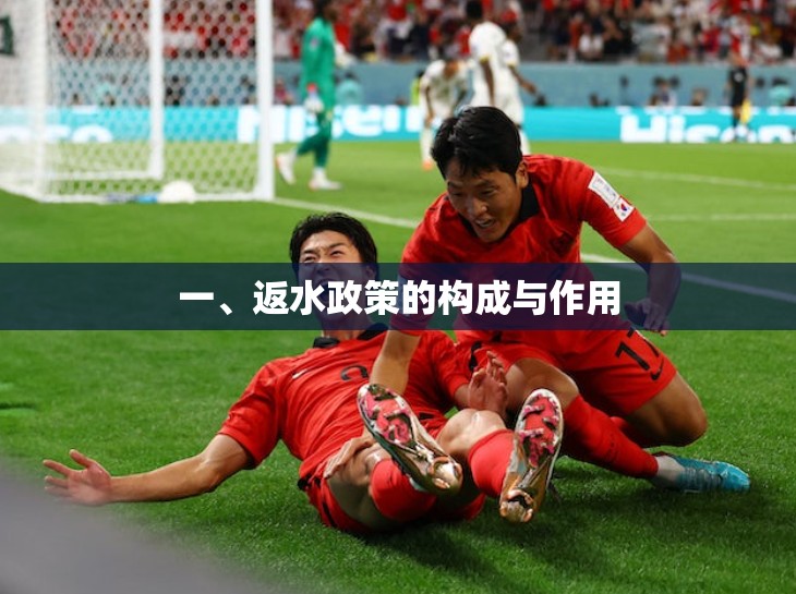 一、返水政策的构成与作用