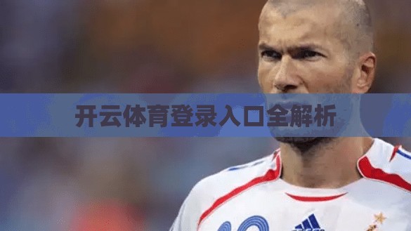 开云体育登录入口全解析