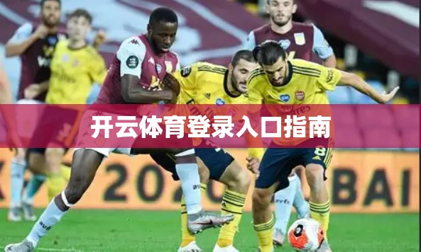 开云体育登录入口指南