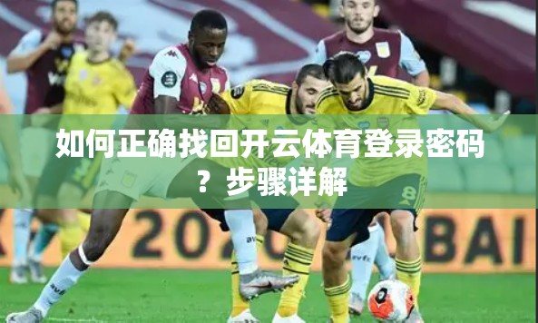 如何正确找回开云体育登录密码？步骤详解