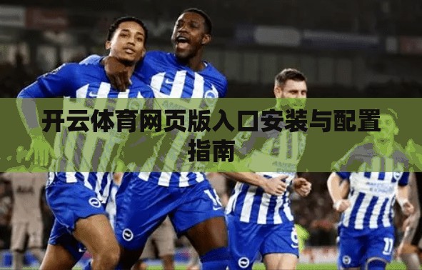 开云体育网页版入口安装与配置指南