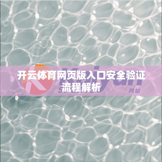 开云体育网页版入口安全验证流程解析