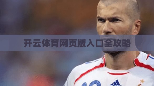 开云体育网页版入口全攻略