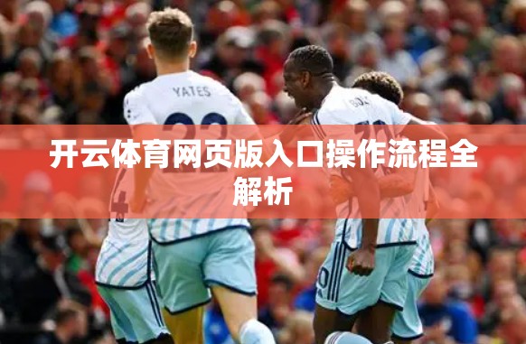 开云体育网页版入口操作流程全解析
