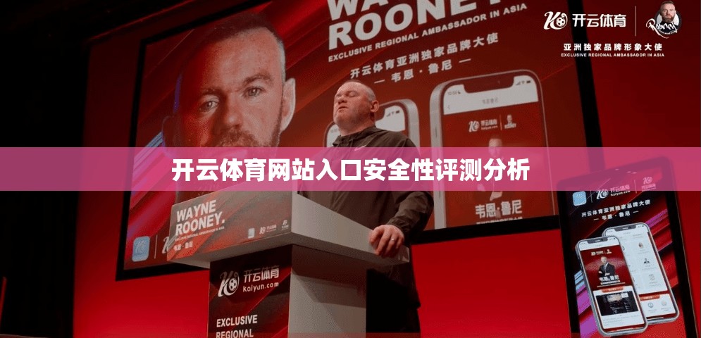 开云体育网站入口安全性评测分析