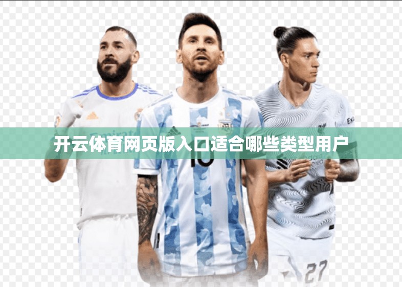 开云体育网页版入口适合哪些类型用户