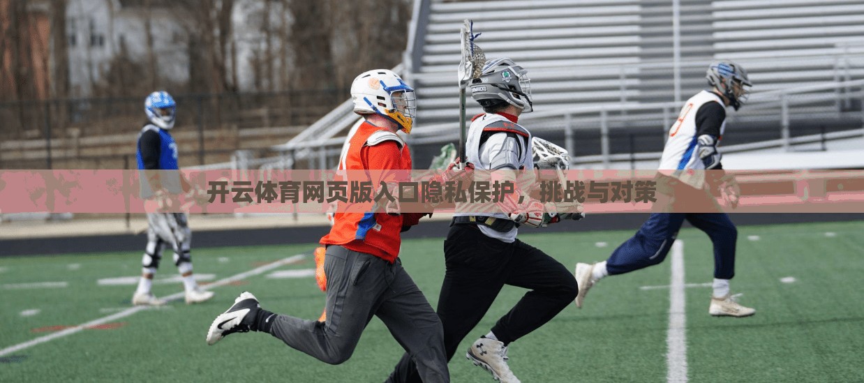 开云体育网页版入口隐私保护，挑战与对策