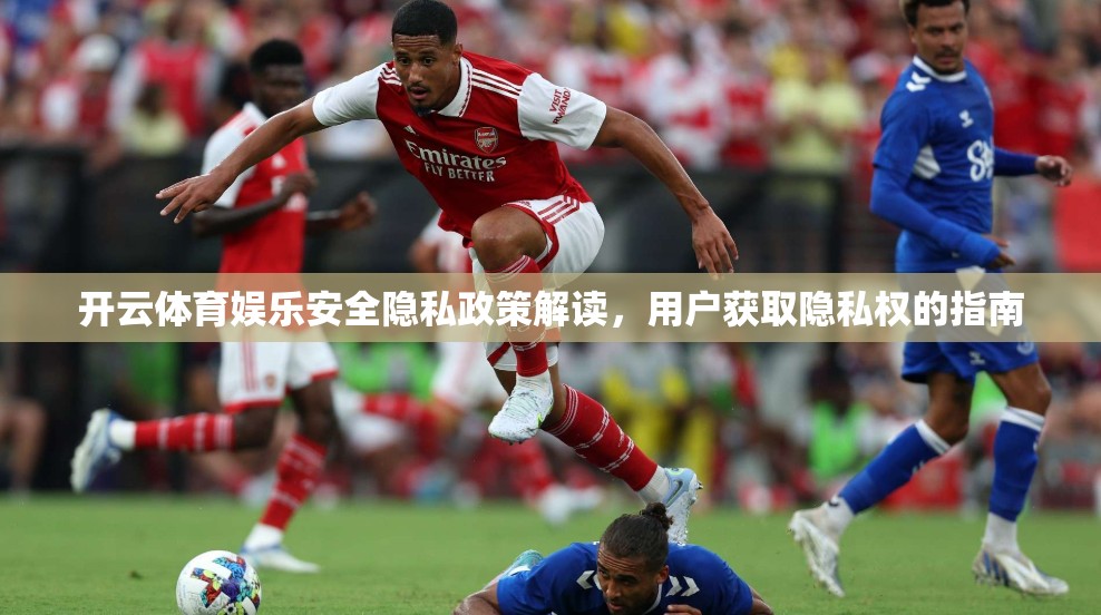 开云体育娱乐安全隐私政策解读，用户获取隐私权的指南