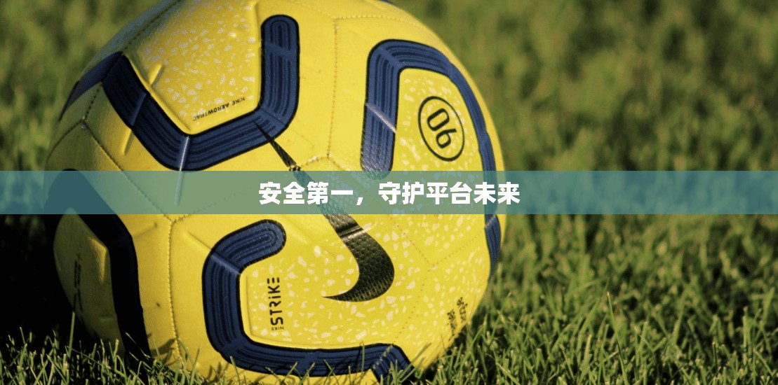 安全第一，守护平台未来