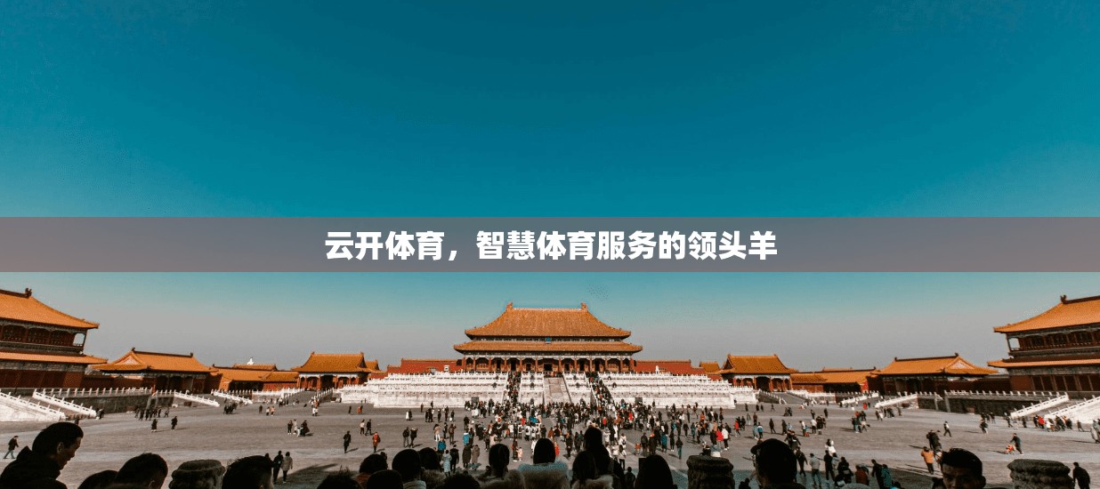 云开体育，智慧体育服务的领头羊
