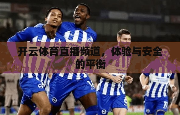 开云体育直播频道，体验与安全的平衡