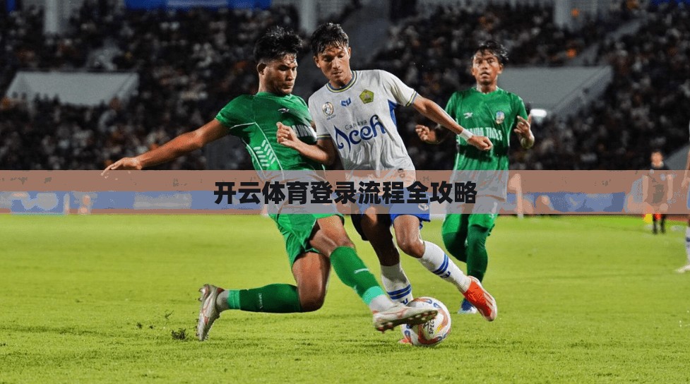 开云体育登录流程全攻略