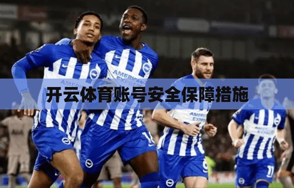 开云体育账号安全保障措施