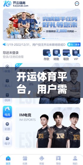 开运体育平台，用户需求的深度解析与未来展望