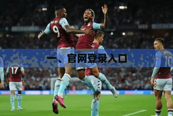 一、官网登录入口