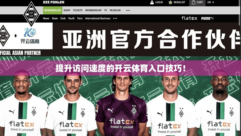 提升访问速度的开云体育入口技巧！