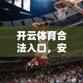 开云体育合法入口，安全访问 essential