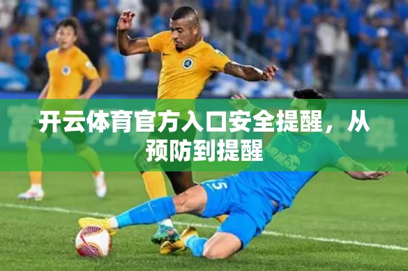 开云体育官方入口安全提醒，从预防到提醒