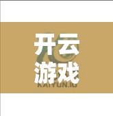 开云游戏平台，用户反馈中的未来方向