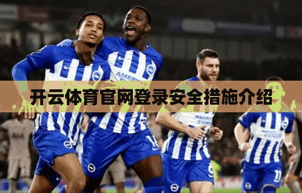开云体育官网登录安全措施介绍