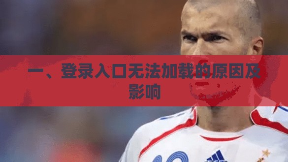 一、登录入口无法加载的原因及影响