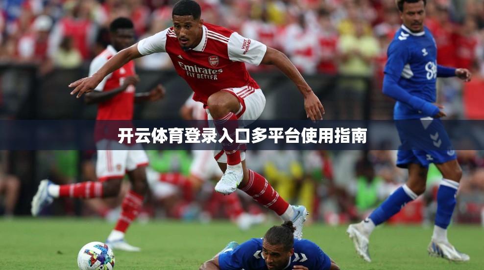 开云体育登录入口多平台使用指南