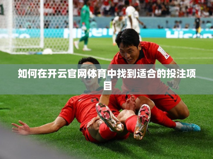 如何在开云官网体育中找到适合的投注项目