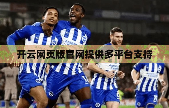 开云网页版官网提供多平台支持