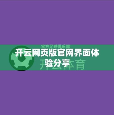 开云网页版官网界面体验分享