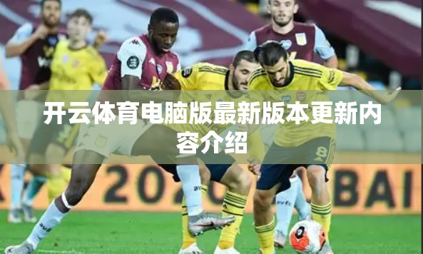 开云体育电脑版最新版本更新内容介绍
