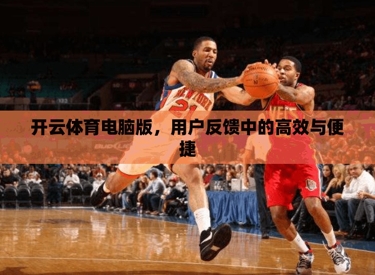 开云体育电脑版，用户反馈中的高效与便捷