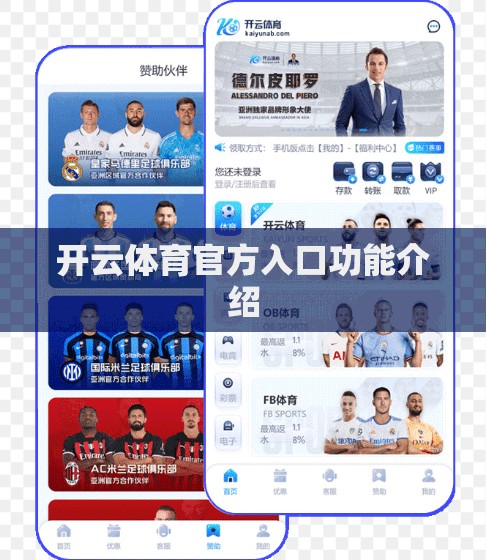 开云体育官方入口功能介绍
