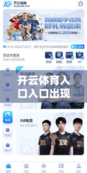开云体育入口入口出现问题怎么办