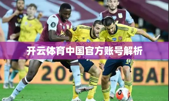 开云体育中国官方账号解析