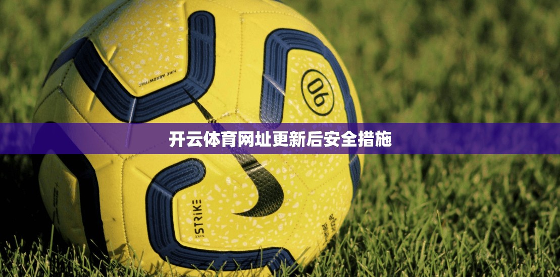 开云体育网址更新后安全措施