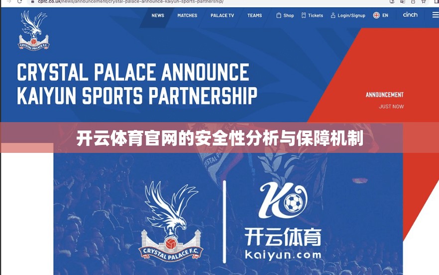 开云体育官网的安全性分析与保障机制