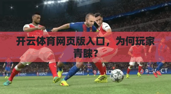 开云体育网页版入口，为何玩家青睐？
