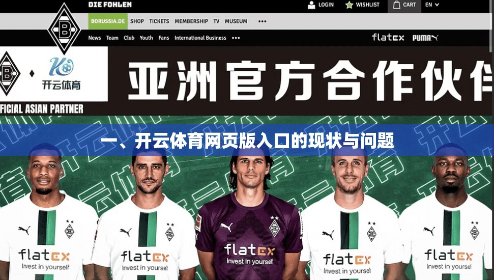 一、开云体育网页版入口的现状与问题