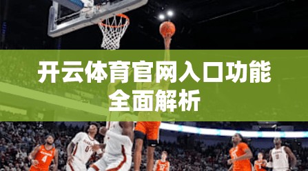 开云体育官网入口功能全面解析