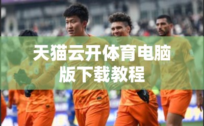 天猫云开体育电脑版下载教程